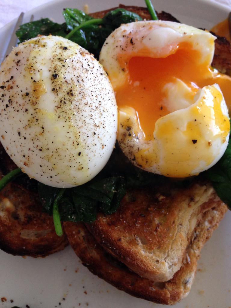 Gav_P_Anderson's tweet photo. After a lovely 2k swim in the sun, there's nothing better than eggs Γ la @davidhodgson10
#essentialprotein http://t.co/9orz8ZLKvZ