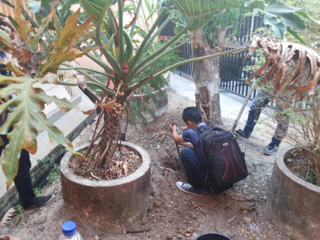 Dikampus kita tambah banyak tanamannya sekarang ... ✌