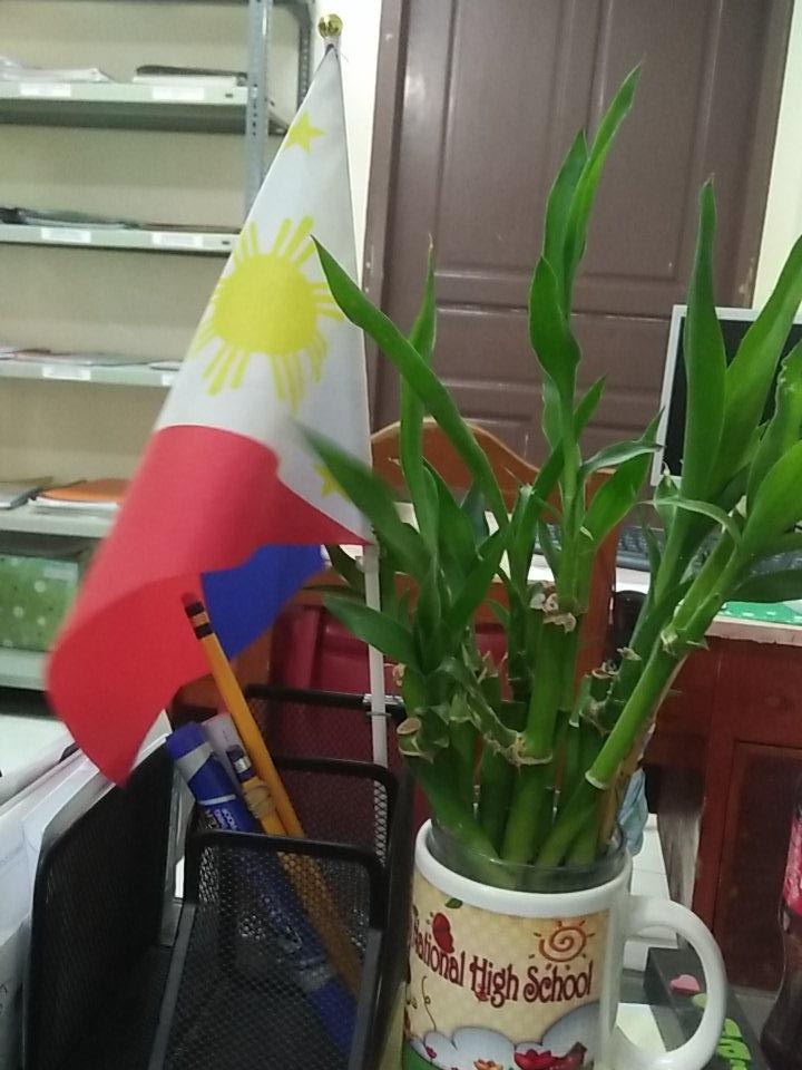 Cardo_mokee's tweet image. Office..alone and bored!