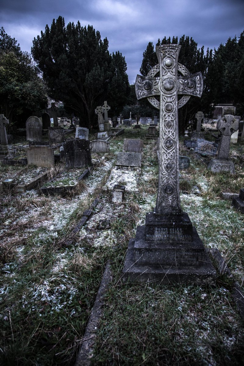 StephenSane's tweet image. 