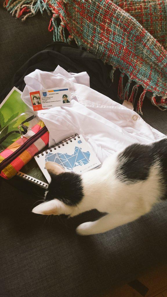 Mary_dalabeneta's tweet photo. @ditofficial
bag โ
lab coatโ
gogglesโ
penโ
notebookโ
student IDโ
catโ ?Cat? Hold on there.
#myditlife #ditnewbies http://t.co/mackY2pbEZ