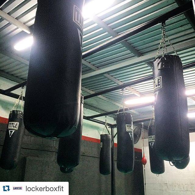 estudihambre's tweet image. Excelente opción para entrenar mis niños @lockerboxfit ift.tt/1VNkQys