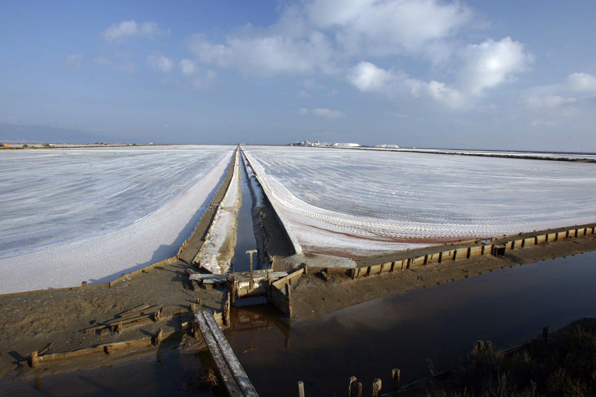 Our salt pans with a very snowy aspect before Salinada
We'll have to wait a whole year to see this landscape again