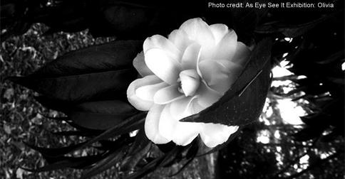 ABCaustralia's tweet image. #NationalChildProtectionWeek: Children in care photograph their view of the world ab.co/1ETCDzR | @702sydney