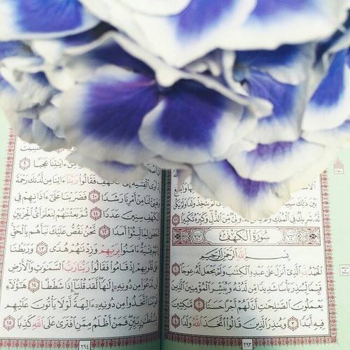 “Ben edebiyat bilmem kızım.
▬// ◆◆ Ben Allah'ı bilirim. Bir de karımı.”

❀❀❀❀❀❀❀❀❀❀❀❀❀❀❀❀❀❀❀❀❀