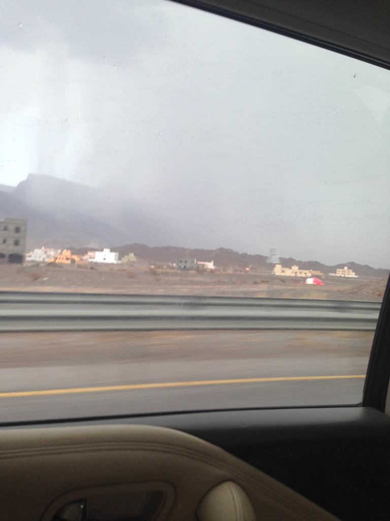 salehjadidi (@abuhareb80) on Twitter photo 