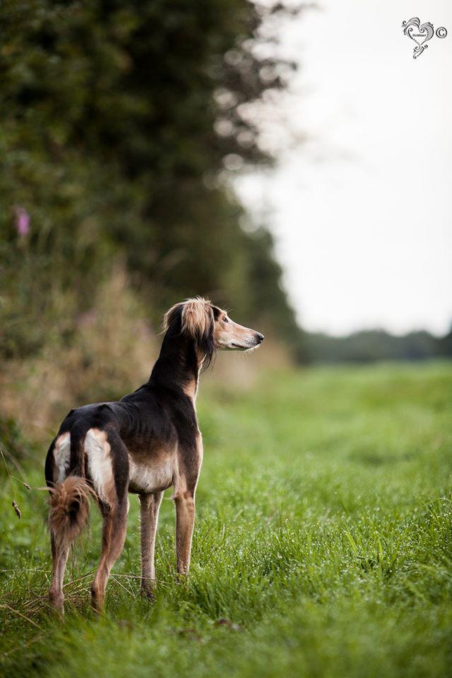 JabMove's tweet image. TIA AND AFYA ON MORNING PATROL....