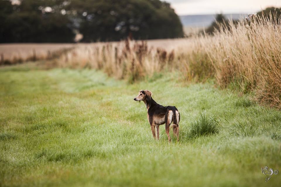 JabMove's tweet image. TIA AND AFYA ON MORNING PATROL....