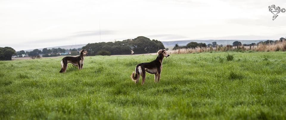 JabMove's tweet image. 