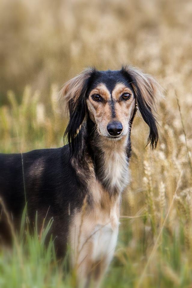 JabMove's tweet image. 