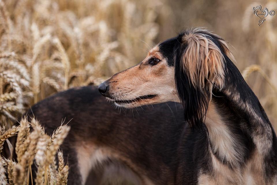 JabMove's tweet image. 