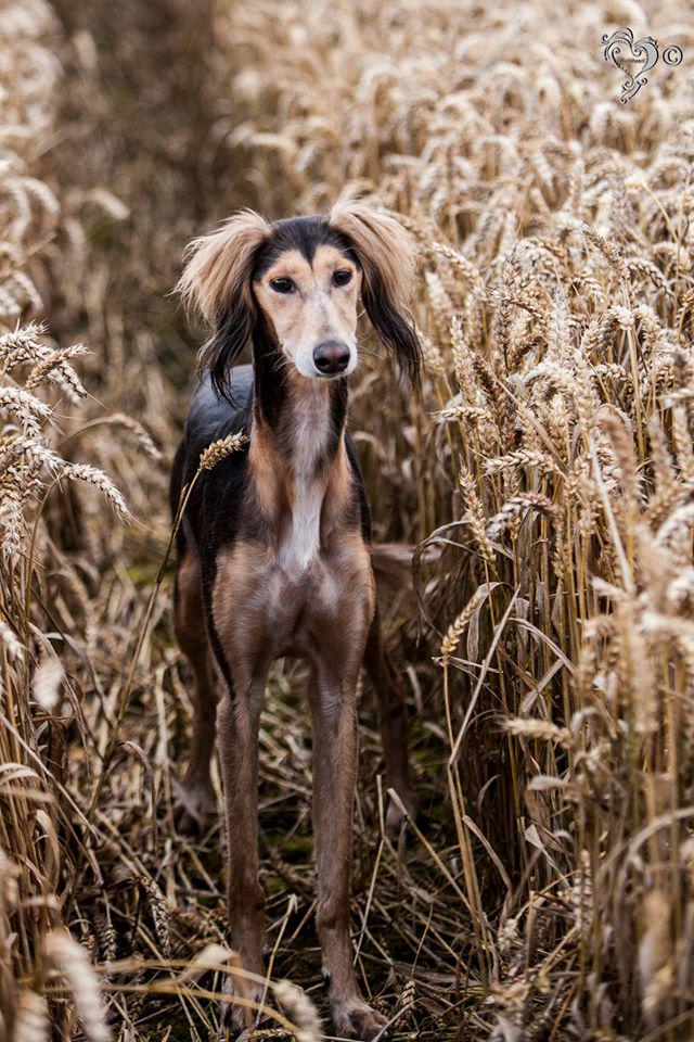 JabMove's tweet image. 