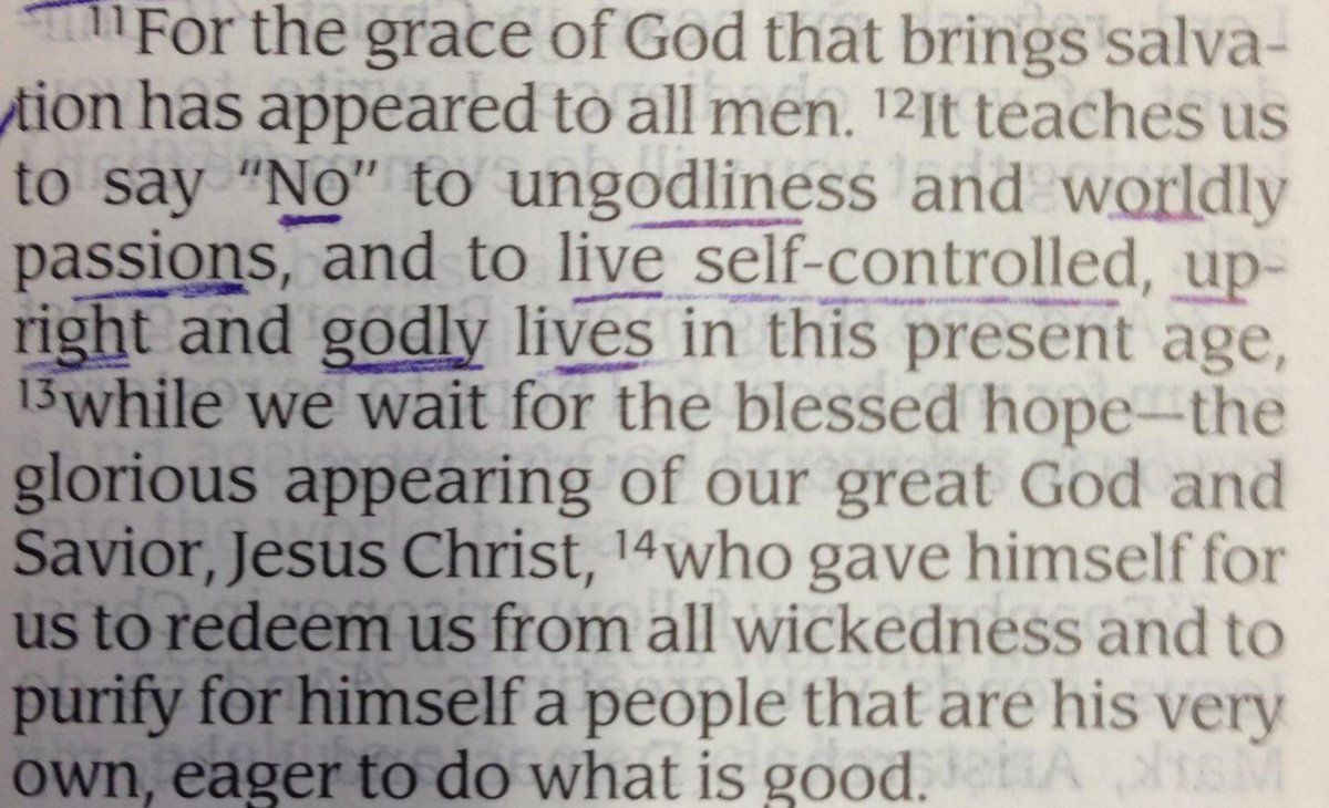 Shannon Meade tweet media