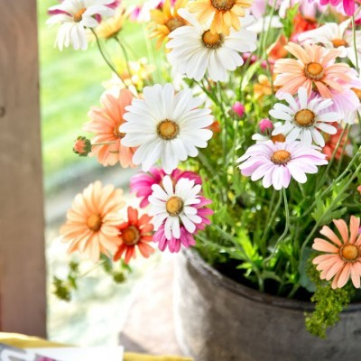 ROOMERS_baltic's tweet photo. We`re not letting summer go! Visit @ROOMERS_baltic ,find perfect flowers from #silkka and let`s continue summertime! http://t.co/IFDt975Duf