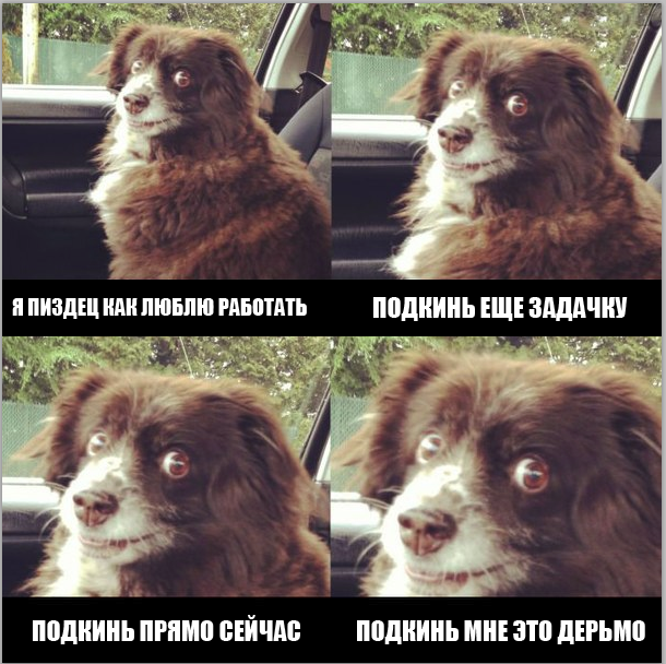 neonick's tweet image. Из рабочего чатика