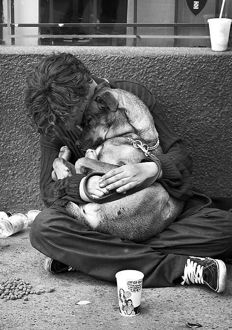 A dog always loves you, even when nobody else does.