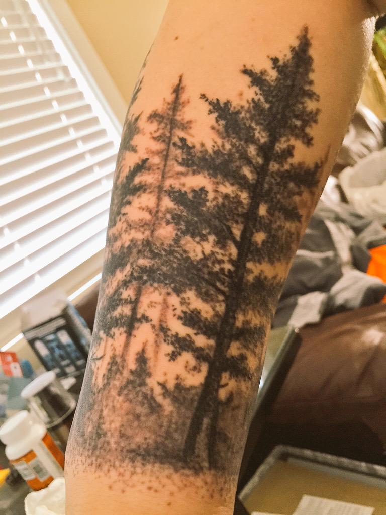 ColesonM8's tweet image. I just can&apos;t over how dope this looks... It actually has depth to it &amp;amp; looks like an actual forest😍🌲🙏