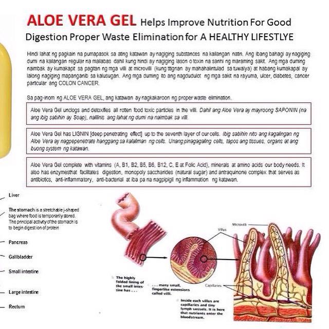 Back2Nature09's tweet photo. Contact us for more information. #AloeVera #natural #health #Beauty #nutrition #healthcare #wellbeing #wellness http://t.co/kQMJeALpEE