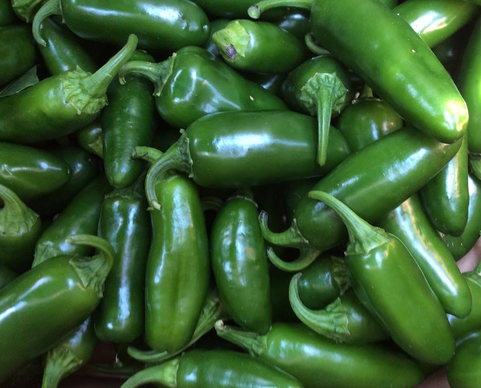 DunwaldFarm's tweet image. @TheFarmersGardn Organic Jalapenos and Ghost Peppers!