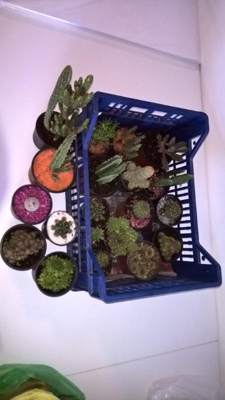 WalterSolutions's tweet photo. @WalterSolutions planting day! http://t.co/u6j9UTFnOE