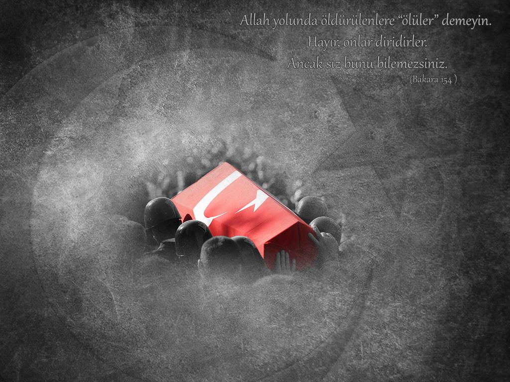 Seyit MERTOĞLU tweet media