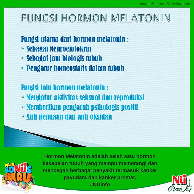 Apa Itu Hormon Melatonin