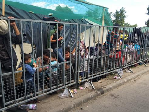 Embedded image permalink