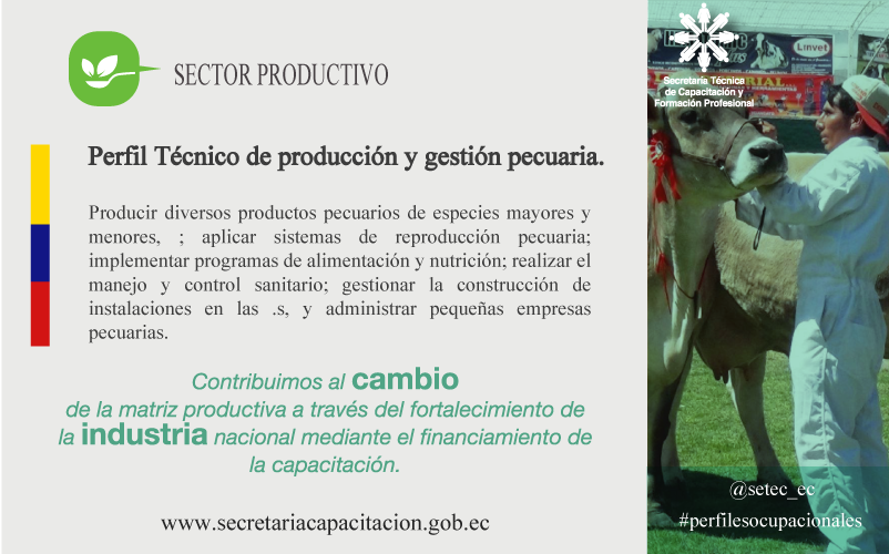 setec_ec's tweet photo. Conoce aquí nuestros perfiles ocupacionales. http://t.co/JemBX7Wfyy http://t.co/QSPvDmMRs0