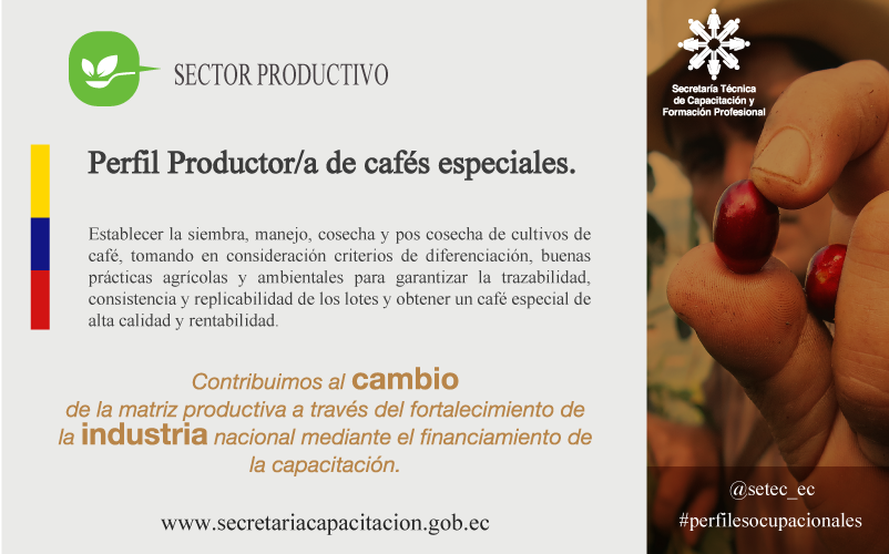 setec_ec's tweet photo. Conoce aquí nuestros perfiles ocupacionales. http://t.co/JemBX7Wfyy http://t.co/QWxgPIim4f