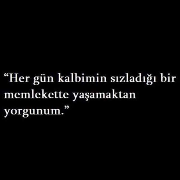AysunAcn tweet media
