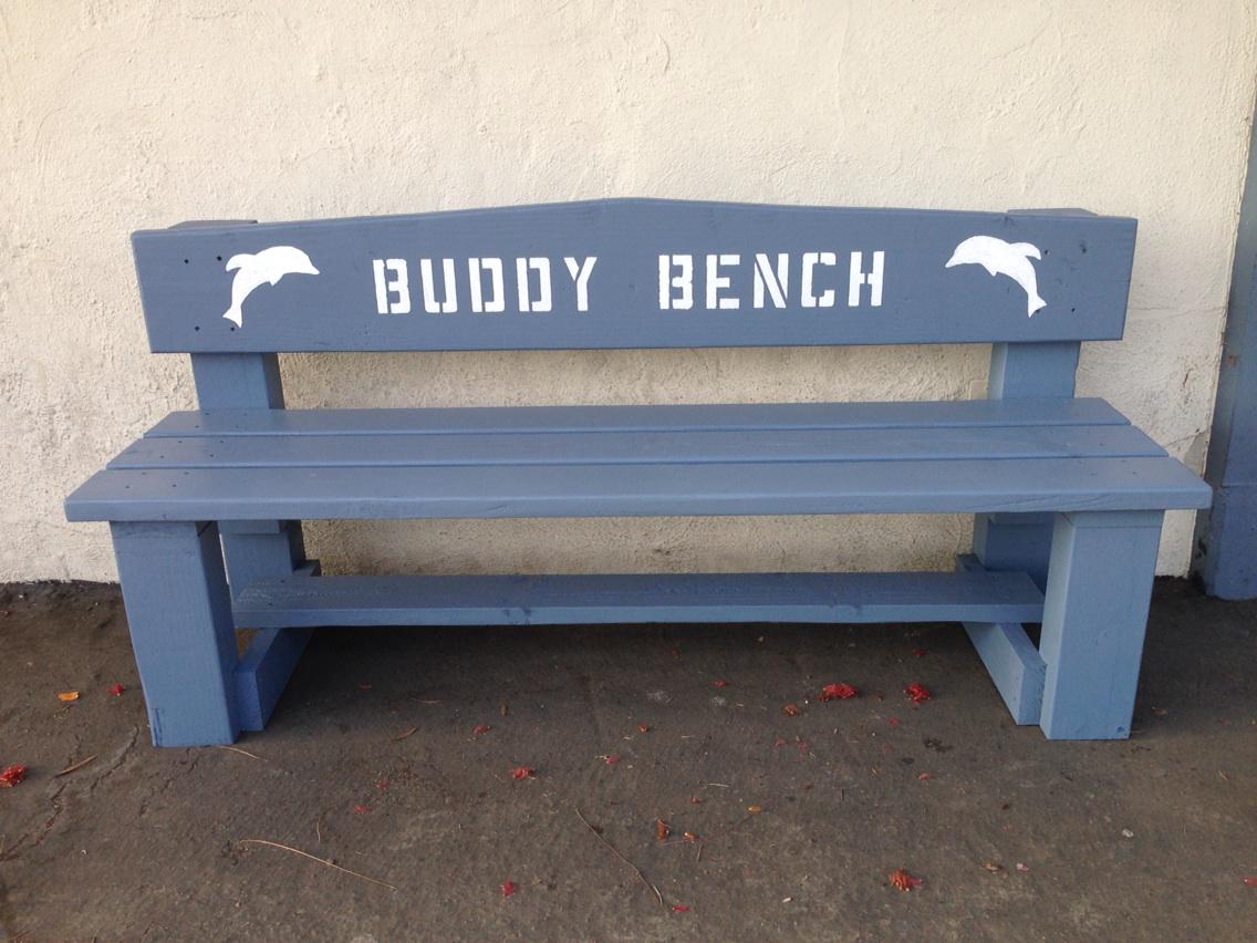 Thanks to Eagle Scout, Ryan Lythgoe, for our new buddy benches.  #DCdolphins