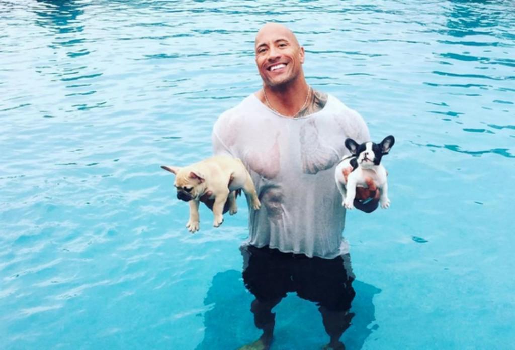 BuyAfterMinting's tweet photo. Dwayne ‘The Rock’ Johnson Dives Into a Pool Fully-Clothed to Rescue Drowning Puppy http://t.co/8zXFxWEIXo #EarthF… http://t.co/kdyzXiFCr4