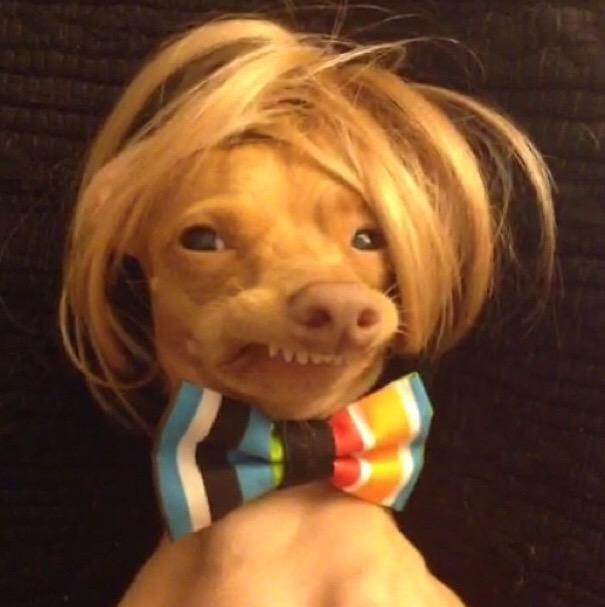 Sew_Devine's tweet image. Just waiting for this dude to ask me out. Casual like.