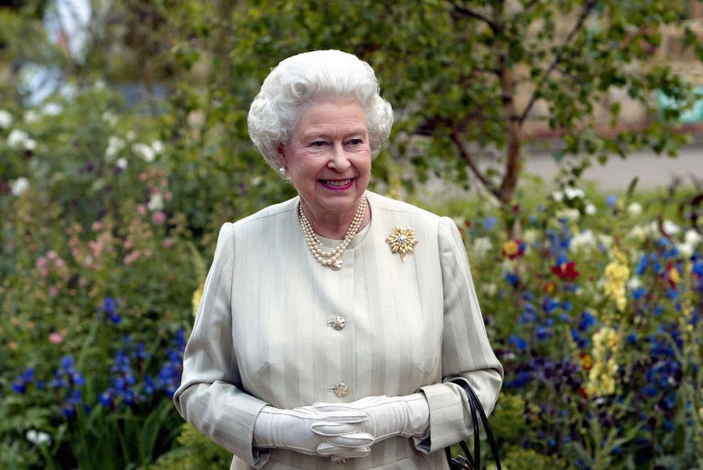 TettySquesh's tweet photo. Queen http://t.co/W9jrDoY1Lz