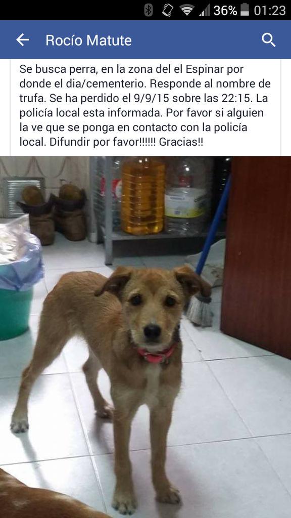RociMatute99's tweet photo. Por favor compartirlo, muchas gracias! http://t.co/SW7e4kkKxK