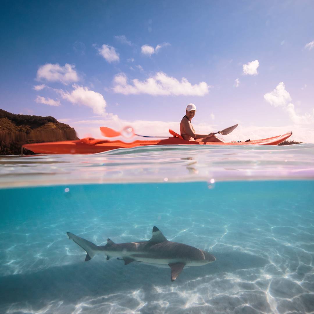 Kayaking with sharks in French Polynesia | Photo by Matthew Nitschke