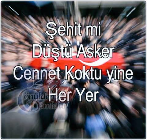 ROTASIZ hayeller (@sinancamlidag) on Twitter photo 