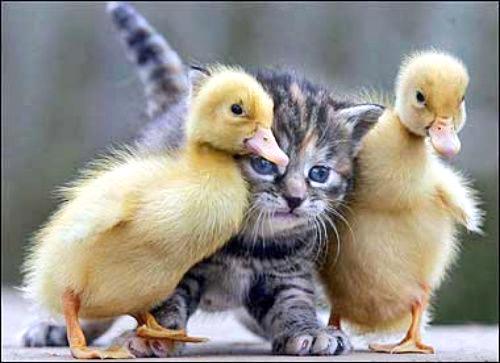 sehnaoui's tweet photo. I think we, the #infosec community, need a lot more of this today.
I love you all. http://t.co/4LZ7GNciq0