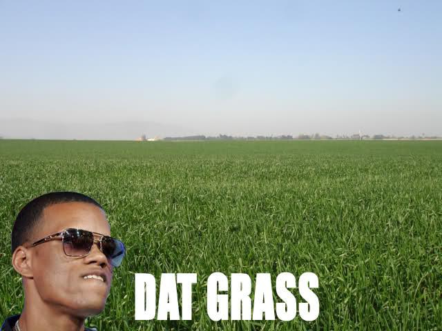CPU_Blanc_'s tweet photo. @Lost_Pause_ #datgrass http://t.co/8awEB1yMjw