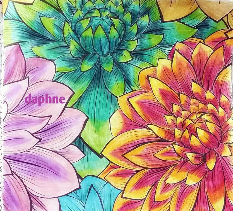 yakamozkitap's tweet image. #benimrenklidünyam #benimrenklihayallarim #yakamozkitap #büyüklericinboyama