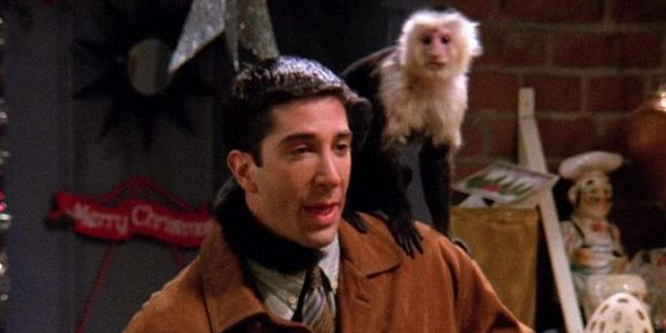 ComedyCentralUK's tweet photo. Who's the biggest #Friends fanatic? Can you name all these animals from the show? http://t.co/un0EDrhCp0 #FriendsFest http://t.co/vi1uAq1jLh
