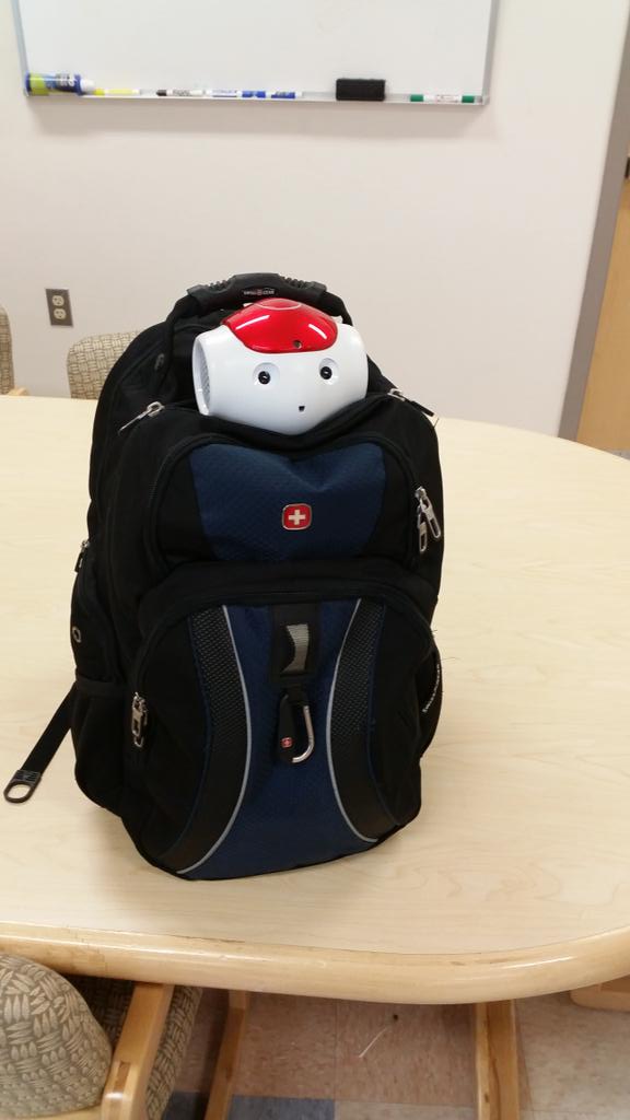 crocodile_21's tweet photo. #wee is a good #travelbuddy. We had a. Good #irb meeting. #nanooknation #uafsoe http://t.co/XzfGP3bNK9