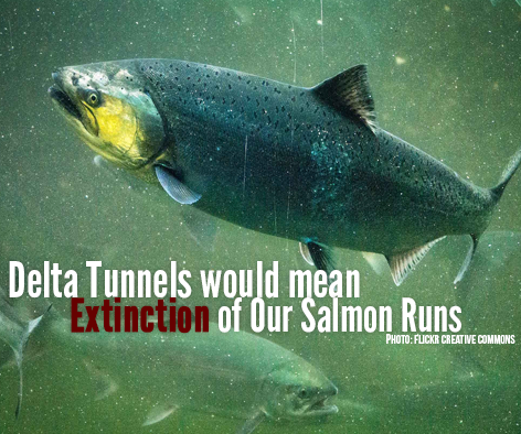 Restore the Delta tweet media