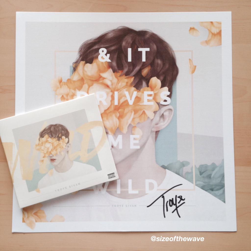 sizeofthewave's tweet photo. LOOK WHAT CAME TODAY @troyesivan http://t.co/z8xdn78Vfj