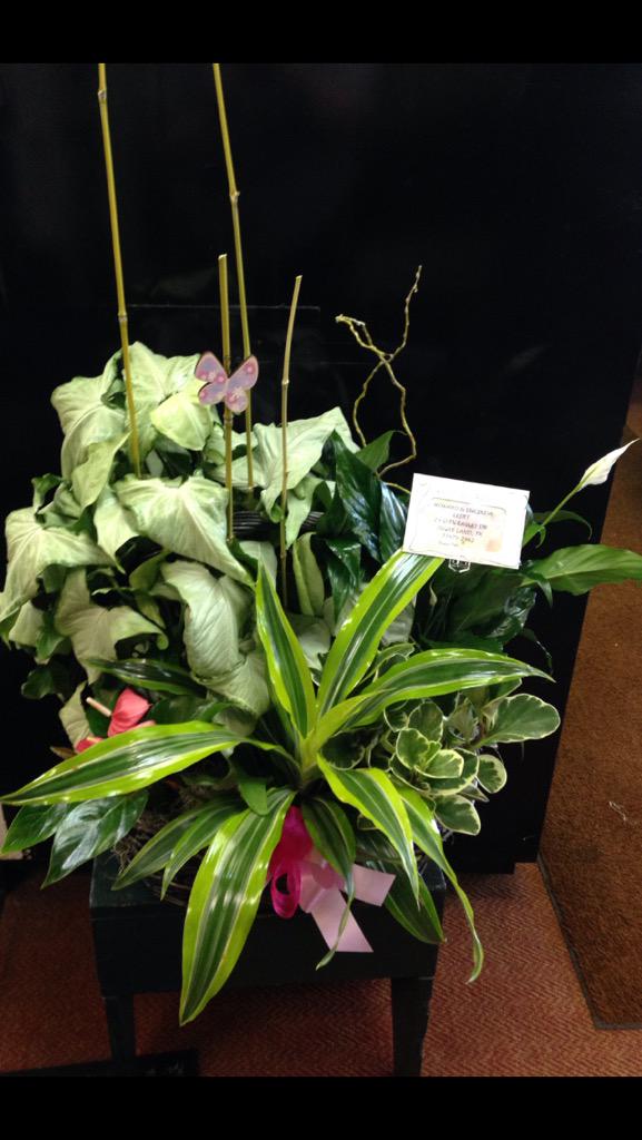 Flowers by Adela (FlowersbyAdela) Twitter