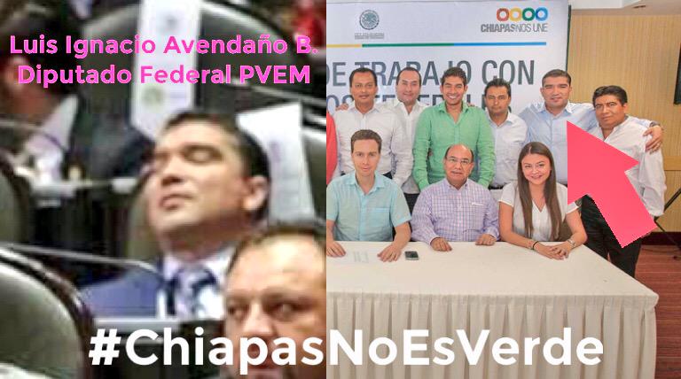 ChisNoEsVerde's tweet photo. El primero que se nos duerme @LuisIgnacioAB debe estar muy preocupado por su estado #ChiapasNoEsVerde http://t.co/VgLSKU0x7y