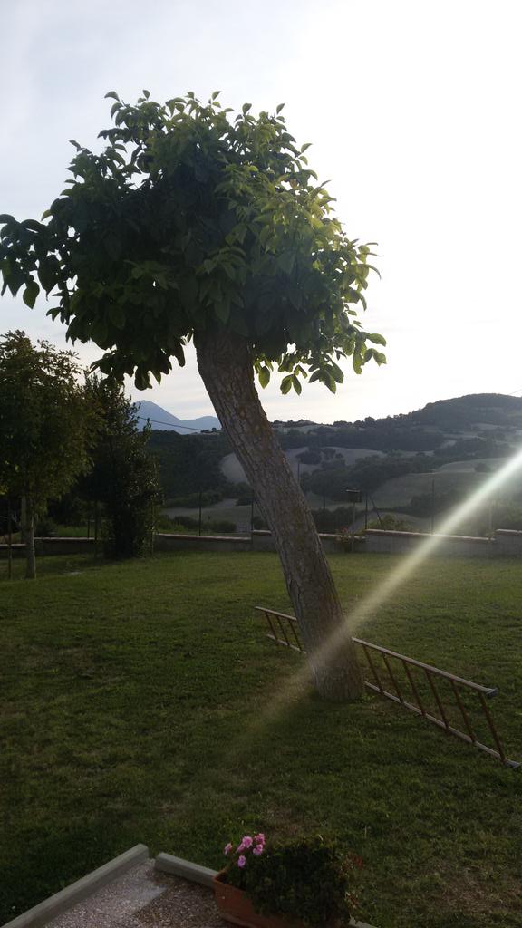 lyn198995's tweet photo. #pu #monterolodipergola http://t.co/ZLh5kvRVGm