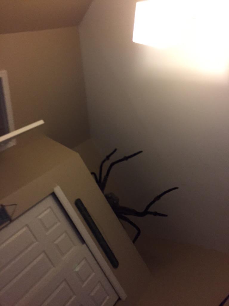 WTF R MY PARENTS TRyING TO GiVE ME A HEART ATTACK????