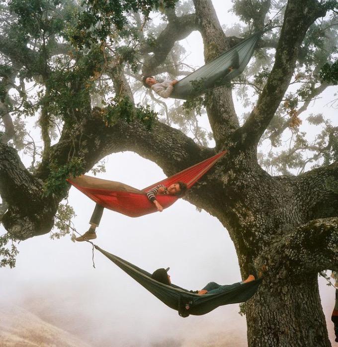 ChillLifeMinds's tweet image. hammock and chill?