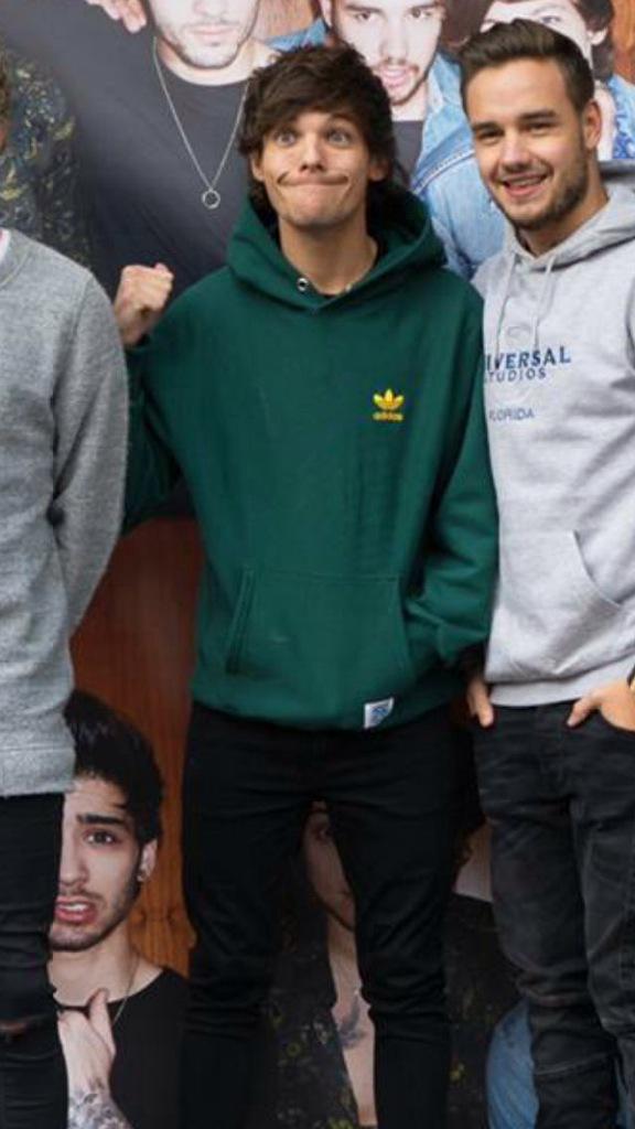 louis green adidas hoodie